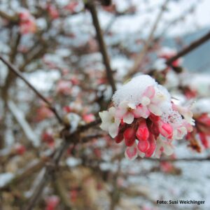 Soulful Sunday Winter23JPG 300x300